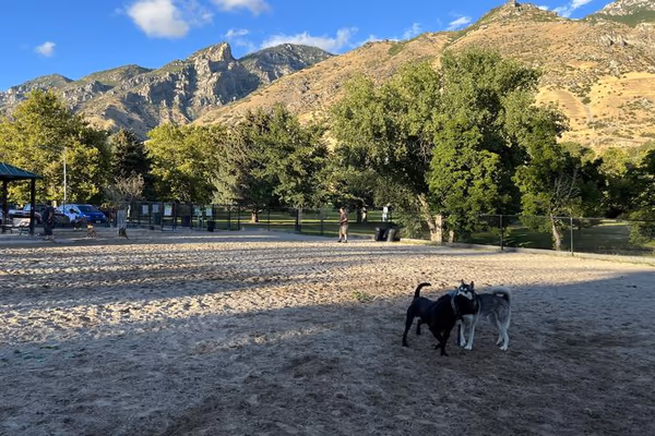 American Fork Dog Park